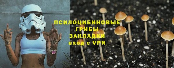 дмт Алзамай