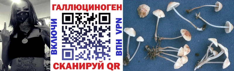 Псилоцибиновые грибы GOLDEN TEACHER  Красноармейск 